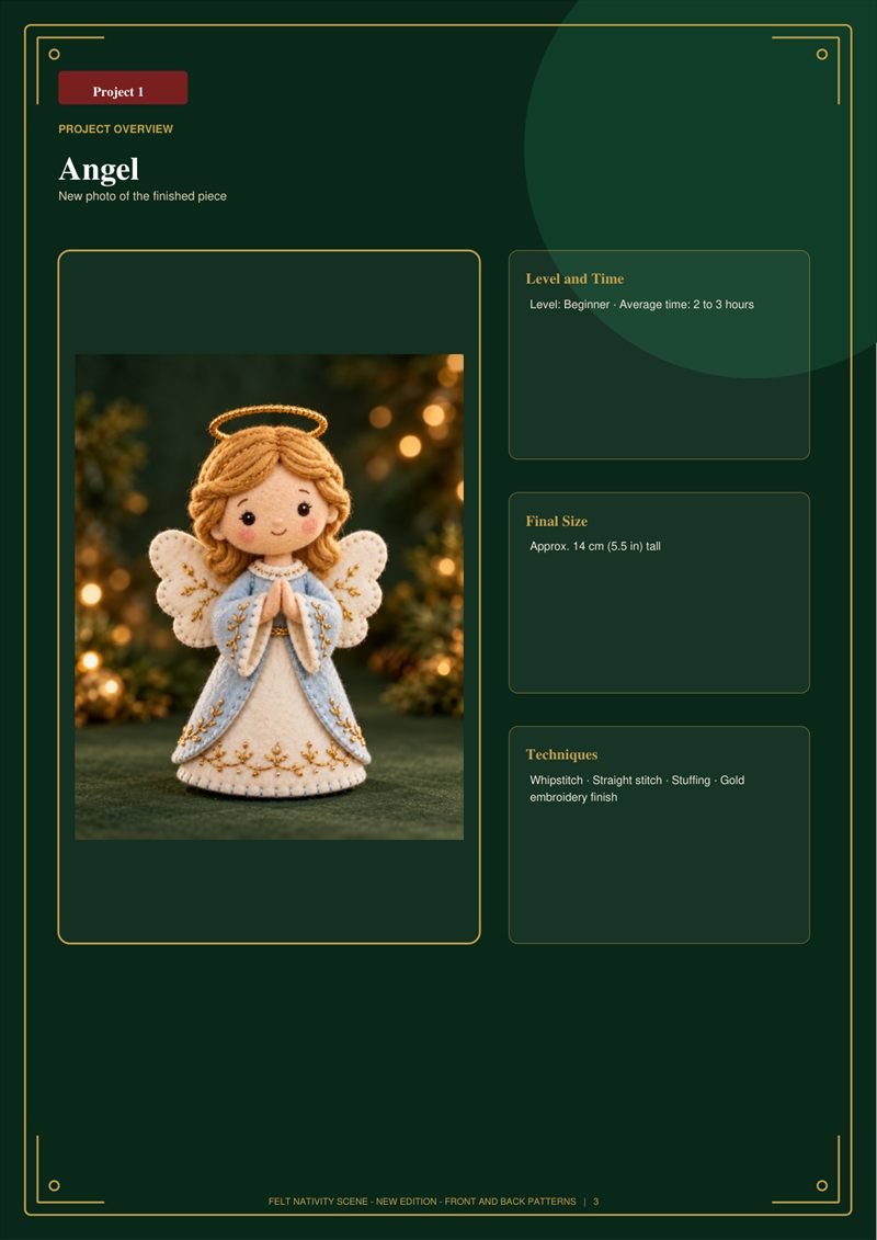 Page 1 - Overview